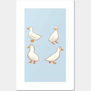 Ducks pack Posters and Art